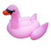Purple Swan Pool Float Set.