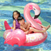 Flamingo Giant Pool Float.